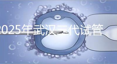 2025年武漢三代試管助孕比較新價格：8萬至15萬，費用明細公開！