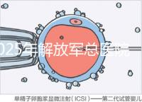 2025年解放軍總醫(yī)院第七醫(yī)學(xué)中心做試管嬰兒的費(fèi)用明細(xì)，現(xiàn)在做試管多少錢？