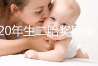 2020年生二胎獎勵金額揭秘，符合條件的媽媽可以領取了！