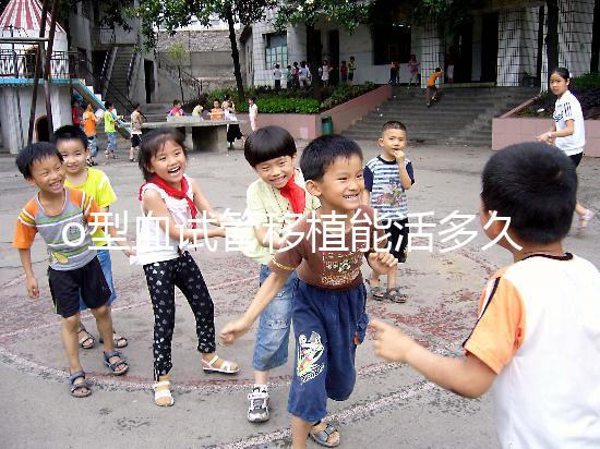 o型血試管移植能活多久?壽命長的關(guān)鍵在于這些點(diǎn)